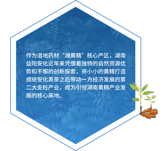 �����ƾ�