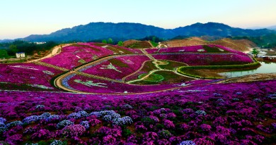 �������绨������