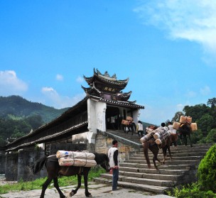 �����ŵ�