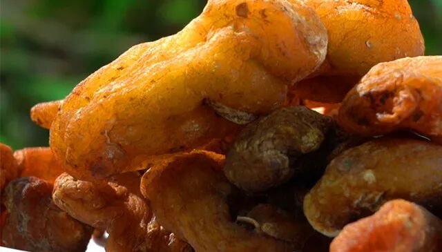 ӡ¸ݡζɽҰҩƾʲô32ڲҵ