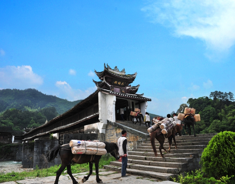 �����ŵ�