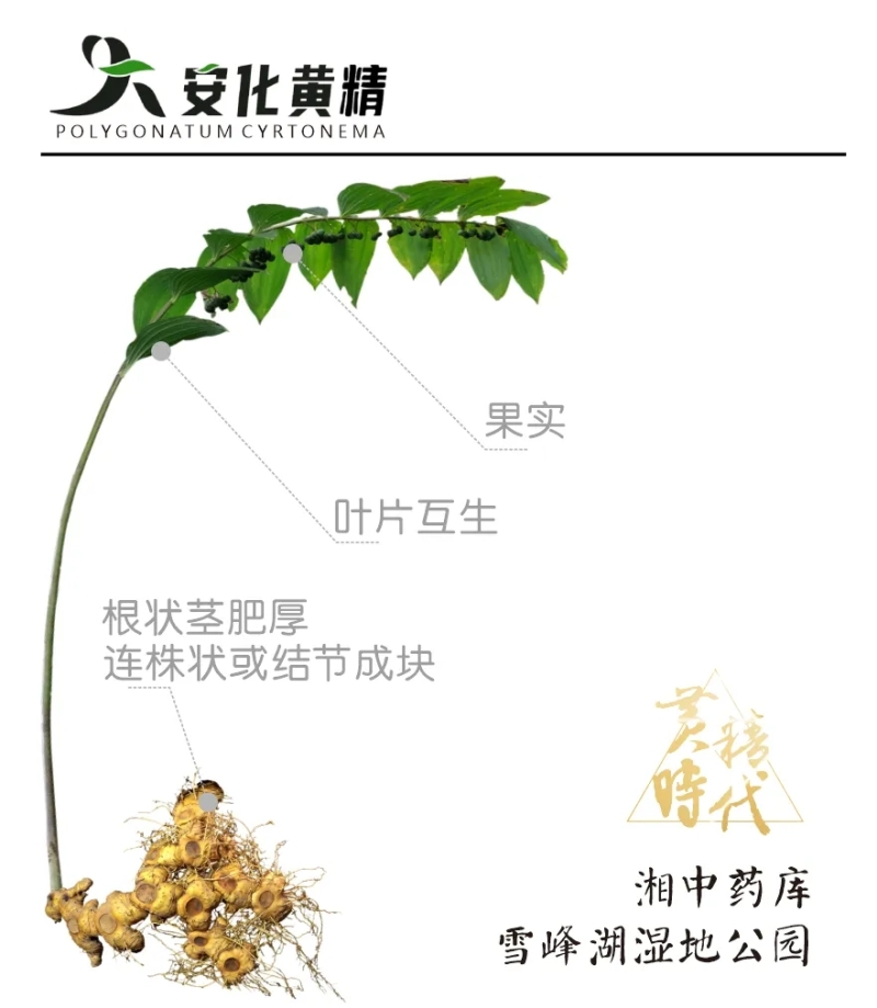 ��������̨�������ߣ�Oh My County ! ���ɡ��ء��� | �ƾ����ɲݡ�����ɽ