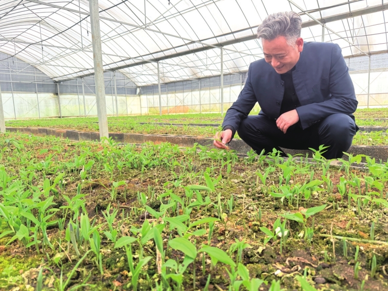 �ƾ���������ʱ �������ַ������ز�������